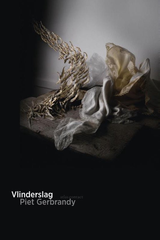 Cover van het boek 'Vlinderslag'