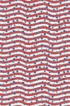 Patriotic Pattern - United States Of America 107