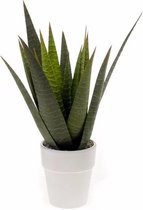 Kantoor kunstplant Aloe Vera in pot 35 cm