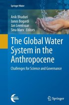 The Global Water System in the Anthropocene