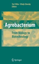 Agrobacterium