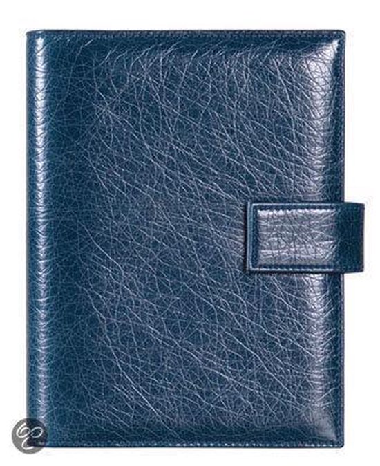 Cover van het boek 'Standard Succes Agenda, Basic plus blue'