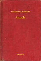 livre numérique