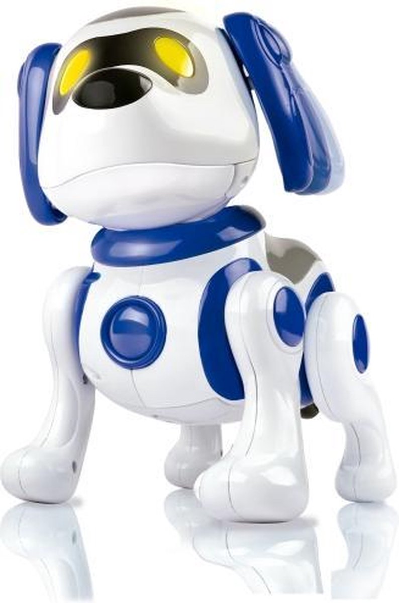 bidden metriek Attent Imaginarium BUDDY THE ROBOT DOG - Interatieve Robothond met Beweging en  Geluiden | bol.com
