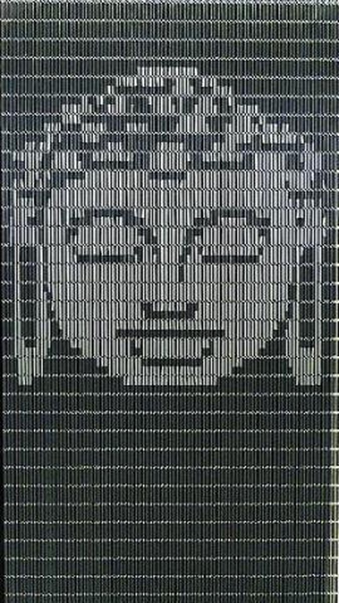 Vliegengordijn hulzen kant en klaar Buddha antraciet-zilver 90x210cm