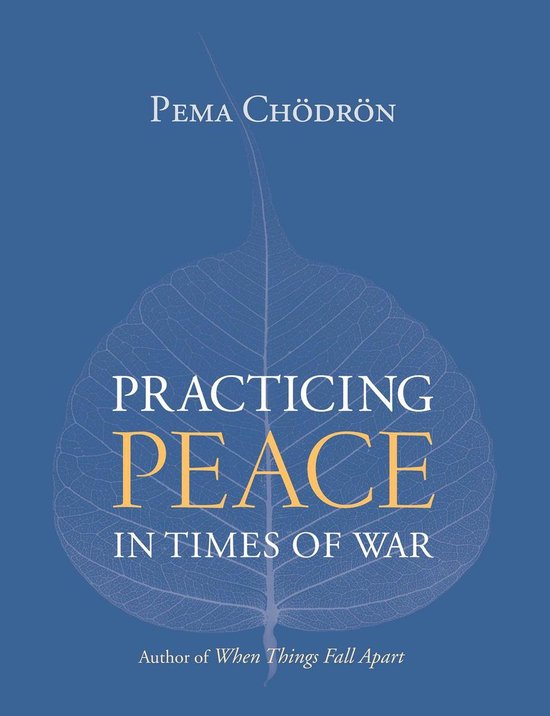 Practicing Peace in Times of War - cover