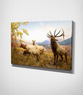 Deers On Grass Canvas | 30x40 cm