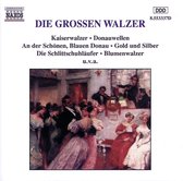 Great Waltzes - Sleeping Beauty, Emperor Waltz, etc