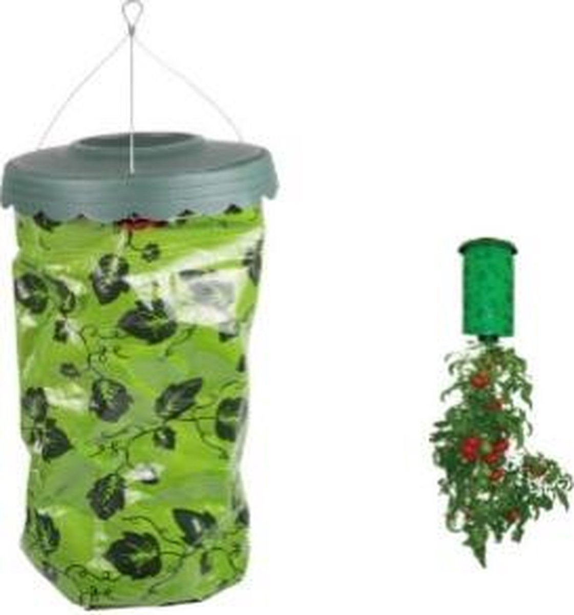 Tomaten hangzak