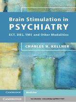Brain Stimulation in Psychiatry