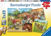 Ravensburger Puzzel 3x49 Stukjes - Manege