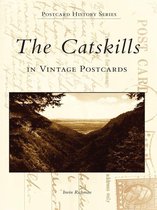 Postcard History Series - The Catskills in Vintage Postcards