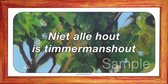 Niet alle hout is timmermanshout