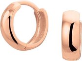 The Jewelry Collection Klapoorringen - Goud