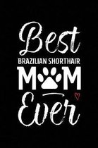 Best Brazilian Shorthair Mom Ever