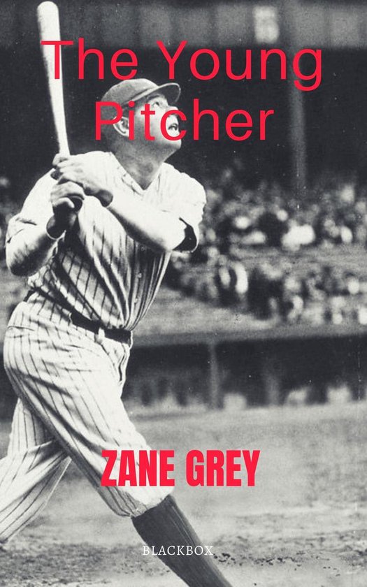 The Young Pitcher - cover