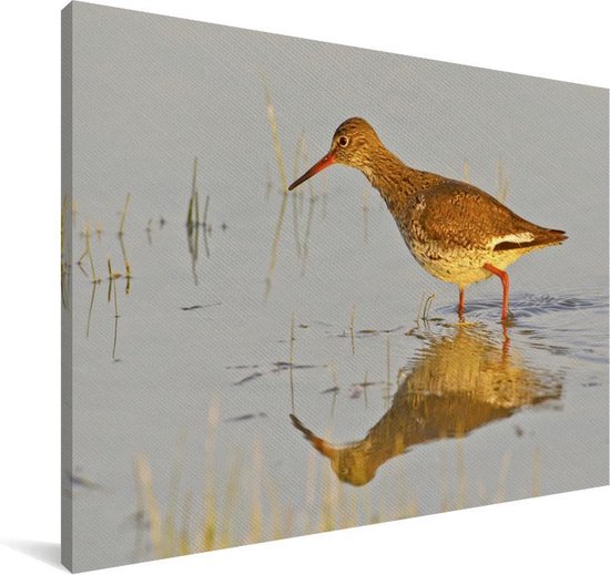 Tureluur in het ondiepe water Canvas 60x40 cm - Foto print op Canvas schilderij (Wanddecoratie woonkamer / slaapkamer)