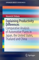 SpringerBriefs in Business - Explaining Productivity Differences