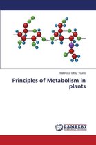 Principles of Metabolism in plants