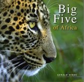 Big Five of Africa