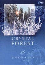 Nature's Beauty - Crystal Forest