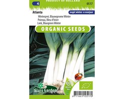 Sluis Garden - Prei, Winterprei Blauwgroene Winter Atlanta