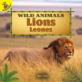Wild Animals - Lions