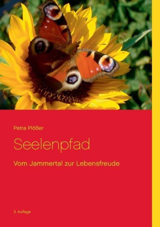 Seelenpfad - cover