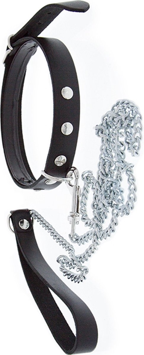 Goedkoopste GP halsband met riem