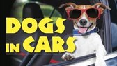 Dogs in Cars