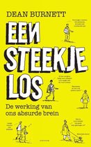 Omslag Een steekje los