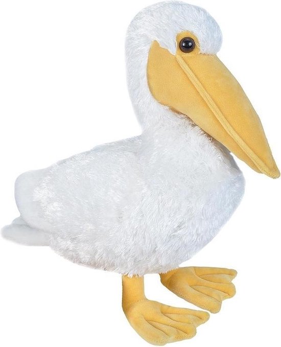 Steiff