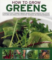 How To Grow Greens