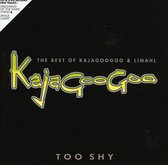 Too Shy. The Best Of Kajagoogo And Limahl