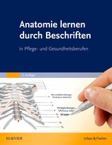 Anatomie lernen durch Beschriften