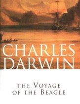 Paperback