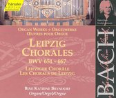 Bine Katrine Bryndorf - Organ Works: Leipzig Chorales Bwv 6 (2 CD)