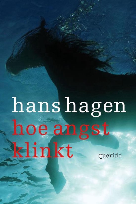 Cover van het boek 'Hoe Angst Klinkt' van Hans Hagen