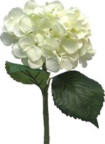 Zijde bloem- Kunstbloem- Hydrangea Artist cream 48cm - Hortensia - Boeket - sfeer