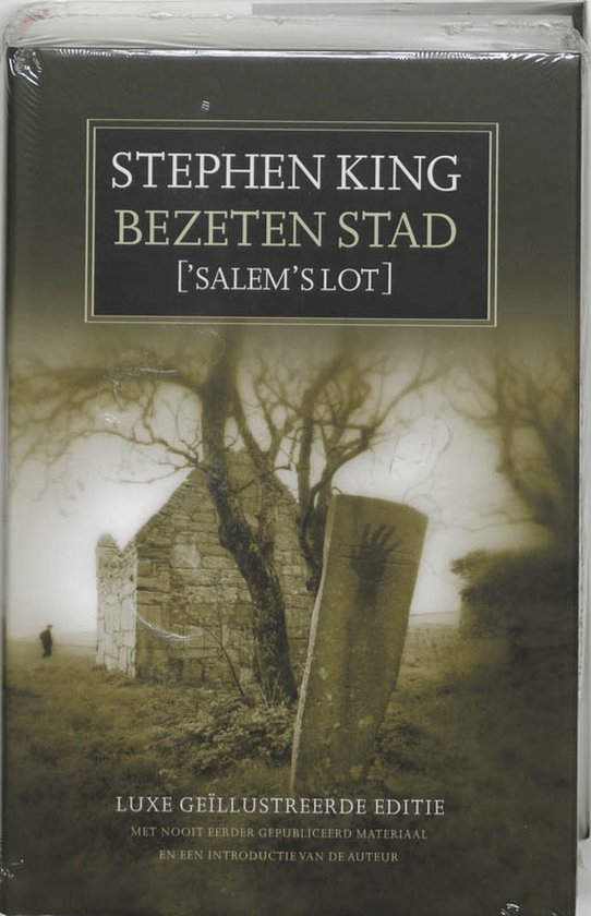 Cover van het boek 'De bezeten stad / Jubileum editie' van Stephen King