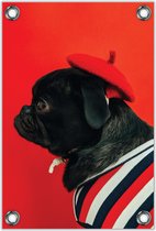 Tuinposter –Pug met Gestreept Shirt en Rood baretje – 60x90cm Foto op Tuinposter (wanddecoratie voor buiten en binnen)