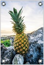 Tuinposter –Ananas op de Rots – 80x120cm Foto op Tuinposter (wanddecoratie voor buiten en binnen)