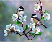 Peinture Diamant adultes 30x40cm - Ronde - Oiseaux et Fleurs - Forfait Adultes - Lienz®