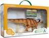 Collecta Prehistorie: Parasaurolophus Speelset 1:40 35 Cm Bruin