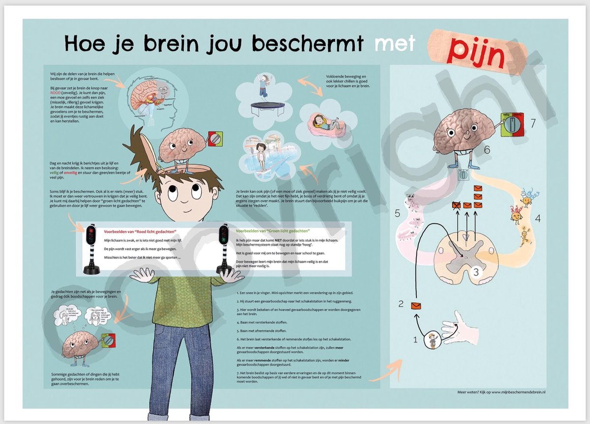 Mijn beschermende brein - Poster | bol.com