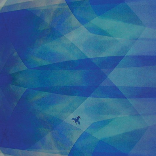 Een blauwe vlieg op een abstracte achtergrond met overlappende blauwe en groene vlakken.