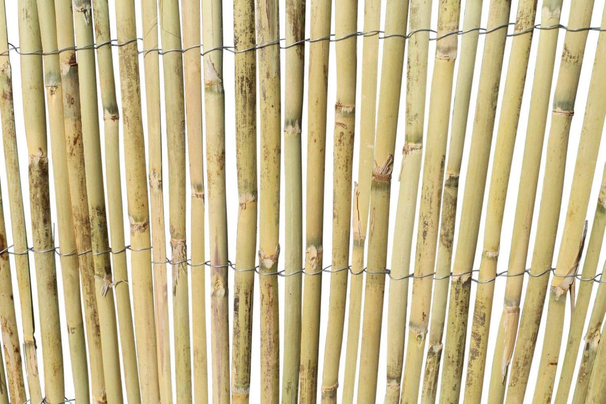 Gespleten bamboemat op rol - Tuinscherm - Balkonscherm - 120 cm | bol.com