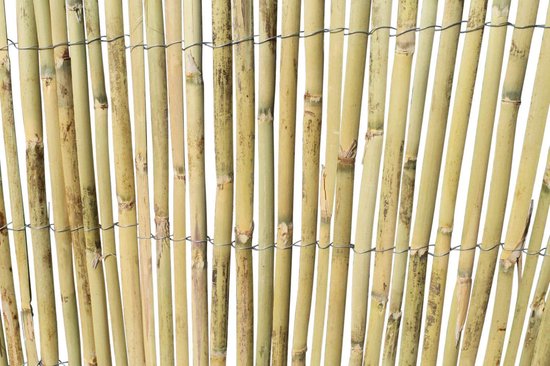 Invloed zacht Geld rubber Gespleten bamboemat op rol - Tuinscherm - Balkonscherm - 120 cm | bol.com