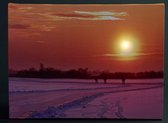 5 stuks LED indoor canvas 1 lampjes 30x40 cm zonsondergang schaatsers Indoor canvas CoenBakker