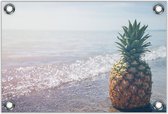 Tuinposter –Ananas op het Strand– 90x60cm Foto op Tuinposter (wanddecoratie voor buiten en binnen)